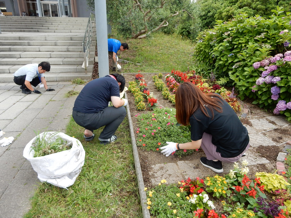 平岡都さん記念花壇「Garden of Hope」の手入れをしました。